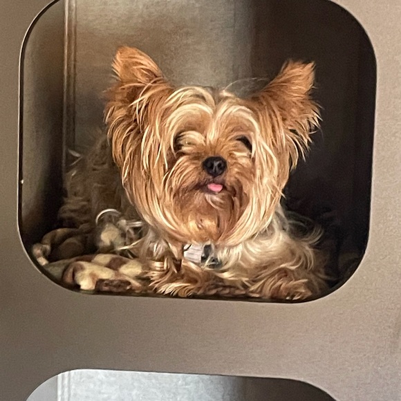 Meet your Posher, Amy - Picture 11 of 16